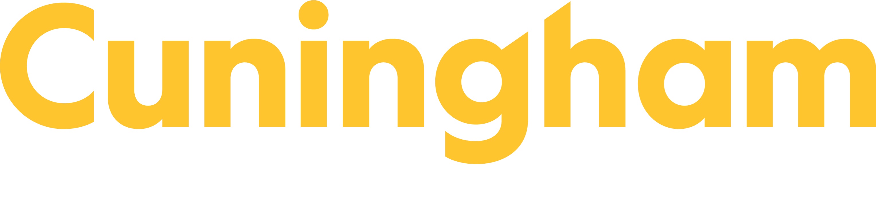 Cuningham Group Architecture - Copay